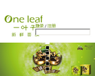 One leaf 一叶子